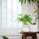 알파케어 이미지