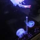 재미난박물관 이미지