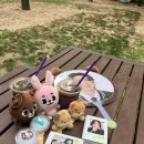 두잉컴퍼니 | 240622-24 데이식스 3rd 팬미팅 I Need My day 후기 @잠실 실내체육관 2층 18구역 시야