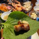 탄관마 이미지
