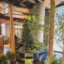 한우외식명가 대정 이미지