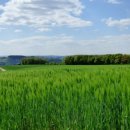 비로소, 겨울 하늘 이미지