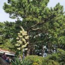 허니문 하우스 이미지