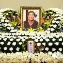 김연수신경외과 머니투데이