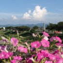 천변자전거도로 이미지