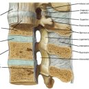 향기나무한의원 이미지