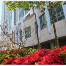 해운대롯데캐슬비치 이미지