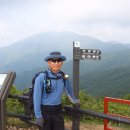 칠선산장 티스토리