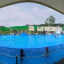 투앤디 썰매수영장 이미지