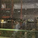 디엠사이언스 | 문토 소셜링 후기 :: 할로윈 컨셉 솔로파티에서 경찰 코스프레한 사람 봤는데 진짜 경찰이었던 썰 푼다