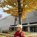 동화크리닝 | 송파 책박물관 북키움 아기랑 무료 전시 후기｜〈나는 동화마을에 살아요〉 체험