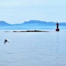 궁항리조트 이미지