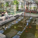 임실샘고을 영농조합법인 | 전주근교 여행 명정원예영농조합, 임실 아이와 가볼만한곳 실내놀이터부터 팜크닉까지