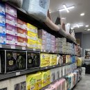 야옹아멍멍해봐 이미지