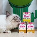 (주)피앤비 인터내셔널 이미지