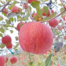 태송농원 이미지