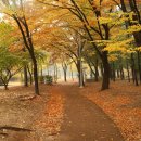 부수지공원 이미지