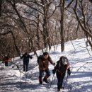 항천목장 이미지