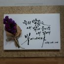 샬롬캘리