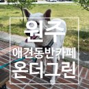애견사랑 | 원주 온더그린 후기 | 브런치 맛집 애견동반 가능한 잔디 카페