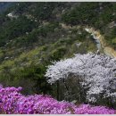 영취산(靈鷲山) 여수/ 510m/붉게 물들이는 진달래를 국내에서 제일 먼저 볼 수 있는 산이기 이미지