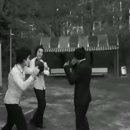 글로리데이즈(glory days)