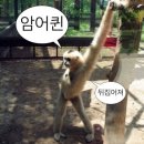 세븐일레븐 서교2점 B | 버티컬 라블렛 입술 피어싱 했더요... (후기... 피어싱 가리기... 몰래 회사 다니기...)