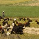 타슈켄트 -씨티 이미지