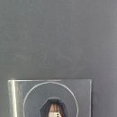 댓걸바이브