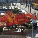 구리광장 이미지