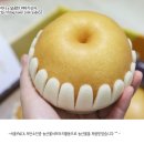 금배농장 이미지