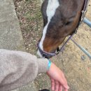 송산목장 이미지