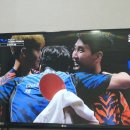 2022 WTT 스타 컨텐더 남자 복식 우승~~!! 이미지