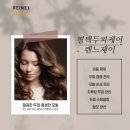 렌느제이 네이버블로그