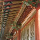 순천-56호 Daum카페