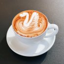 신정애견 | 신정역 카페 메스트커피 신정동 애견동반 카페