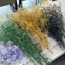 (주)신원휄트노동조합 | 동래여성인력개발센터&amp;블루밍청춘의 원예클래스, NH농협 감성케어 프로그램 하바리움 만들기