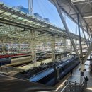 평생교육원 회전 교차로 | 주문진뚜벅이여행 3박4일 여행일기