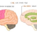 요양코리아- 치매의 증상 이미지