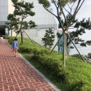 아빠가싸준꼬마김밥 이미지