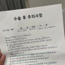 대추밭약국 | 자궁경 후기 / 대추밭백한의원 예약 성공!