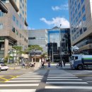 밀밭삼계탕 | 삼성역/코엑스 순대국 맛집 아오내순대 코엑스몰점(코엑스 점심 해장 맛집 순댓국 정식 후기)