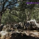 차놀자렌터카 이미지