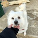 낙산터미널