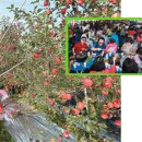 장수한우3 이미지