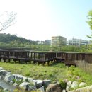 도시의 아침 이미지