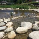 수도산식당 이미지