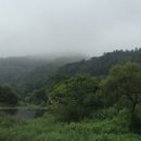 다우리팬션 이미지