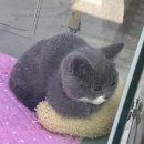 어뮤즈뮤직플레이스학원