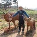 농경축산 이미지